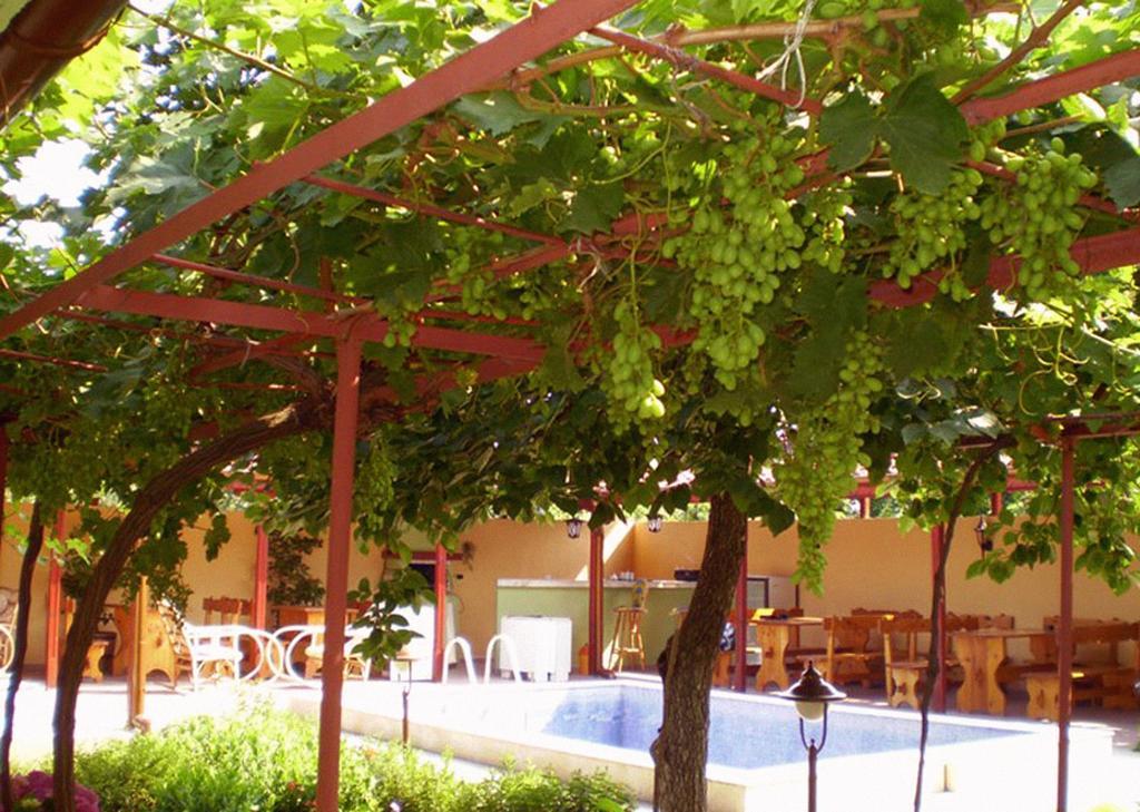 Guest House Yavorov تشيرنوموريتس المظهر الخارجي الصورة