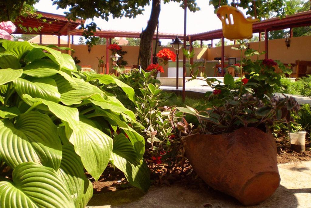 Guest House Yavorov تشيرنوموريتس المظهر الخارجي الصورة